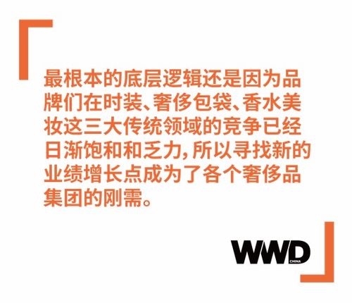 軟奢品牌跨界硬奢 品牌管理中的機(jī)遇與挑戰(zhàn)
