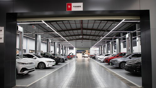比亞迪自營車險首單落地 比傳統險企省600元，這事兒靠譜嗎？